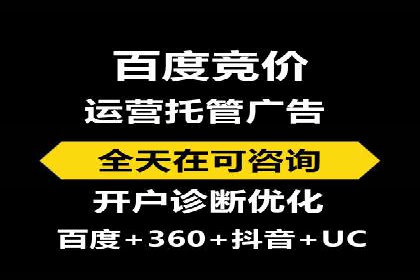 百度竞价包年服务：某行业领导品牌的成功故事